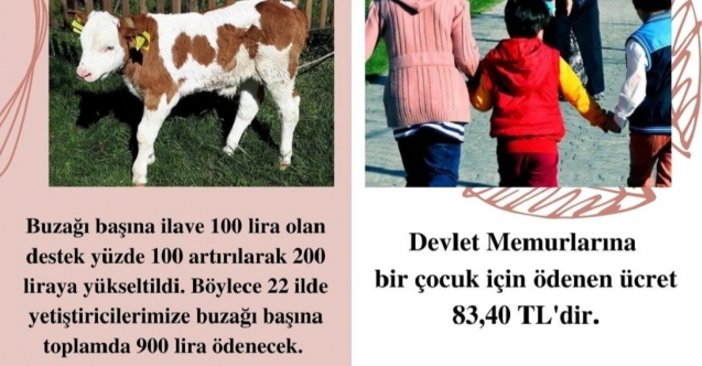 MANDA YAVRUSUNA 900 TL, MEMUR ÇOCUĞUNA 83 TL