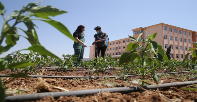 TARIM LİSELERİ, DÜNYADAKİ EN İYİ MODEL UYGULAMALARLA YENİDEN ŞEKİLLENDİRİLECEK